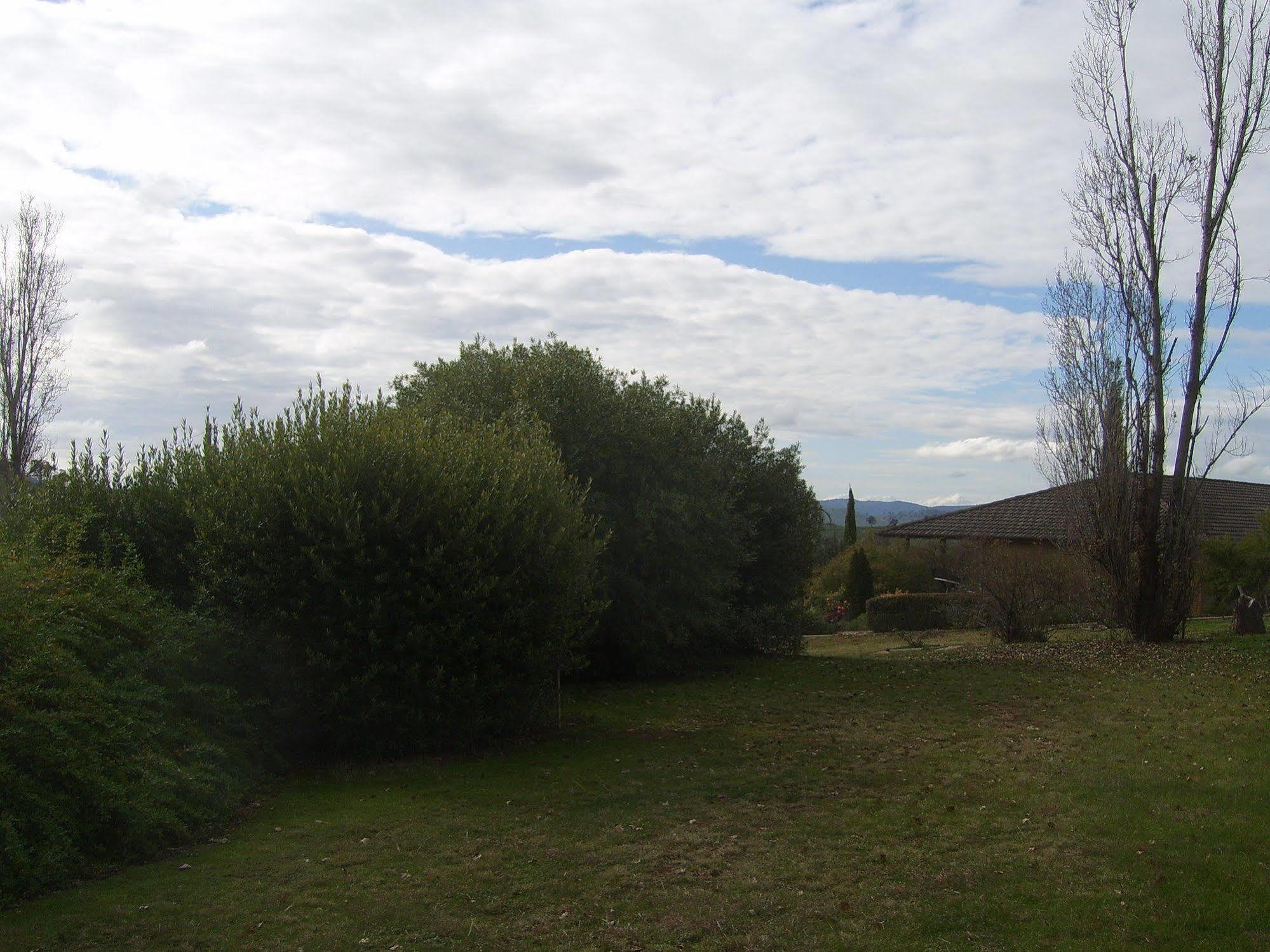 Garden Motor Inn Gundagai Exteriör bild