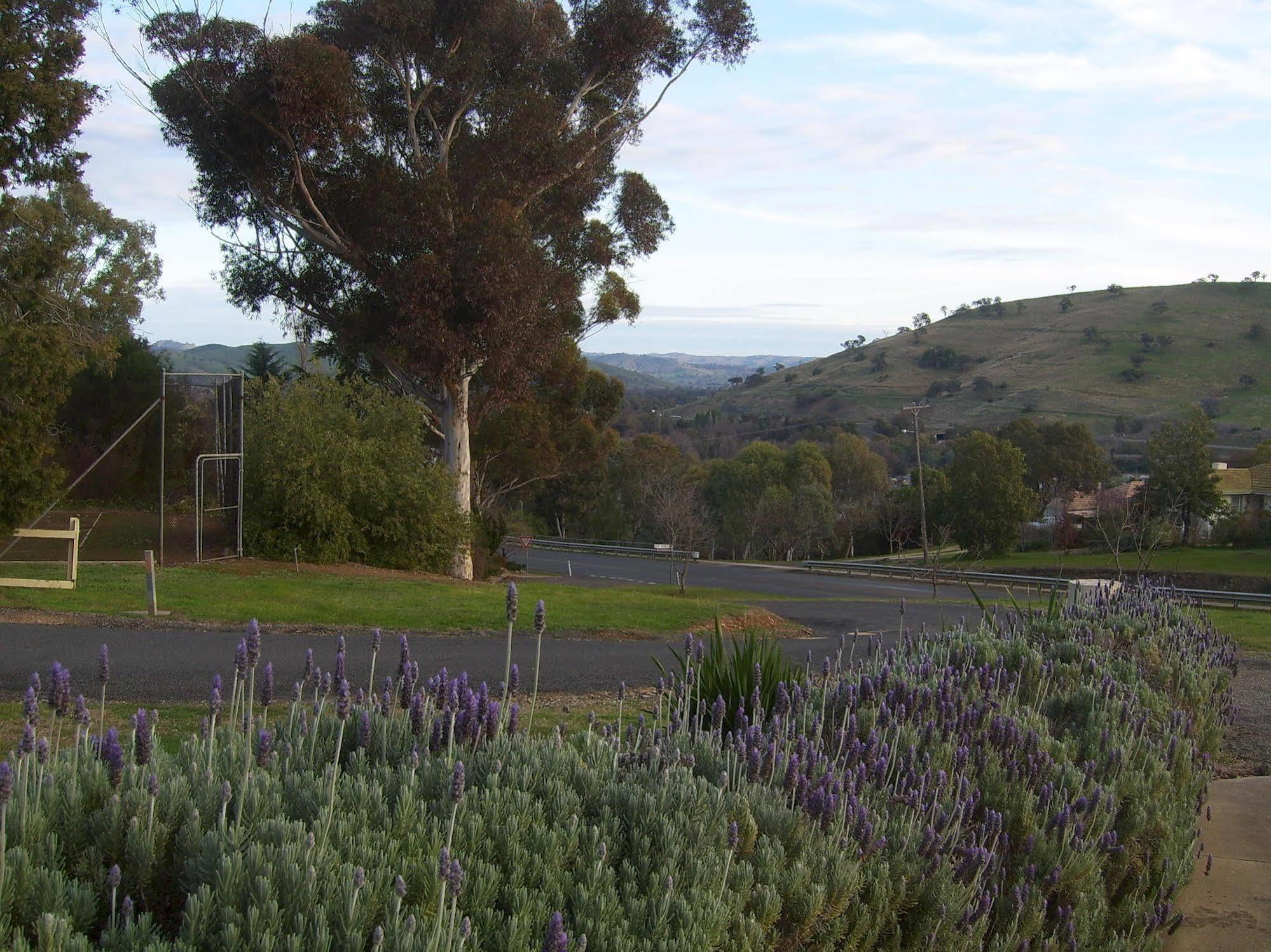 Garden Motor Inn Gundagai Exteriör bild